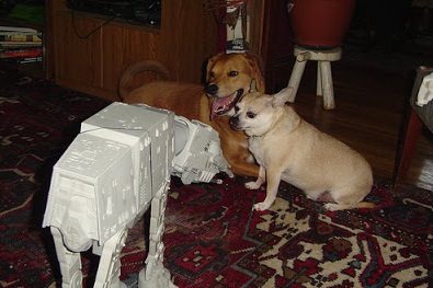 No wars in the stars this night. Just some sweet canine lovin'.