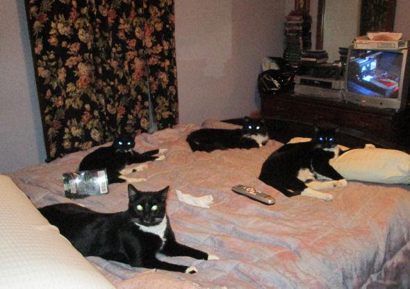 This coven is a strictly formal attire affair.